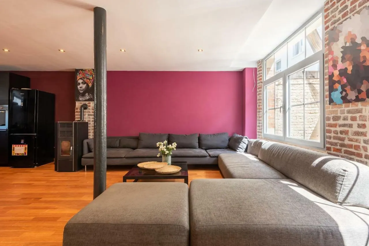 Europea Brussels Sunny Loft Residence - Eu Area Apartment